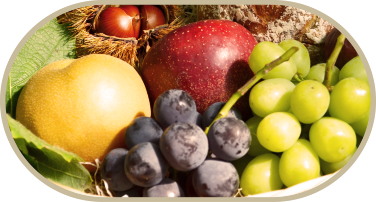 A collection of fruits including Asian pear, apple, chestnuts, black grapes, and green grapes are arranged together.