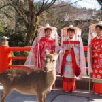 Hiroshima Upper Class Kimono and Noblewomen Costume Rental in Japan