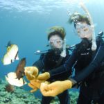 Blue Cave Scuba Diving Tour from Onna, Nagi Okinawa Japan – Diving Tour Japan