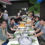 Japan Plant Dye Class and Production Workshop in Japan – Plant-based dyes
