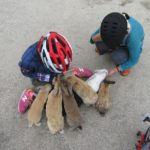 Hiroshima Rabbit Island Bicycling Tour – Day Tour to Rabbit Island Japan