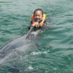 Swim with Dolphins in Japan Tour – Nihon Dolphin Center Swimming Package